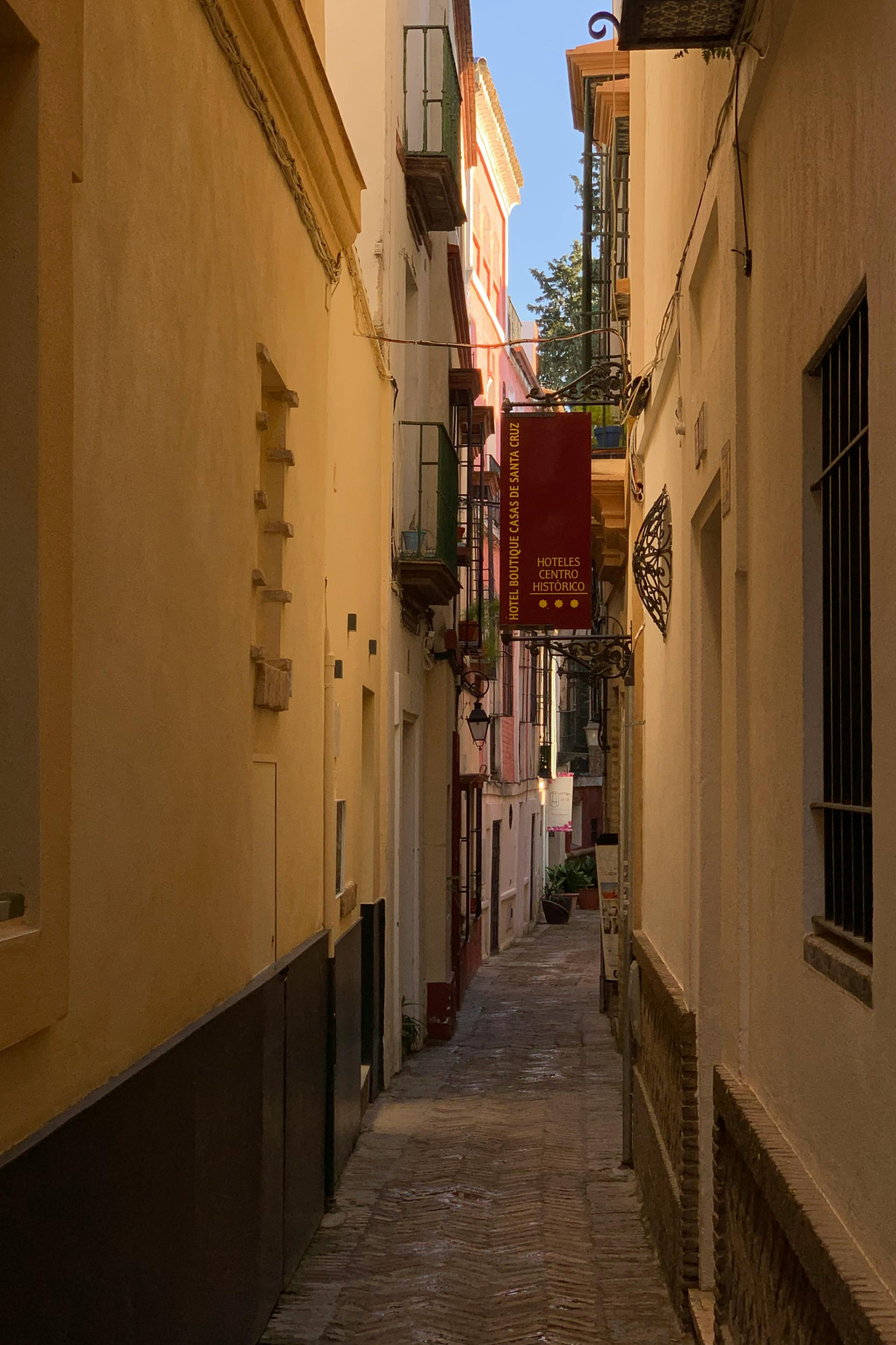 Narrow colonial alley, Centro Histórico
