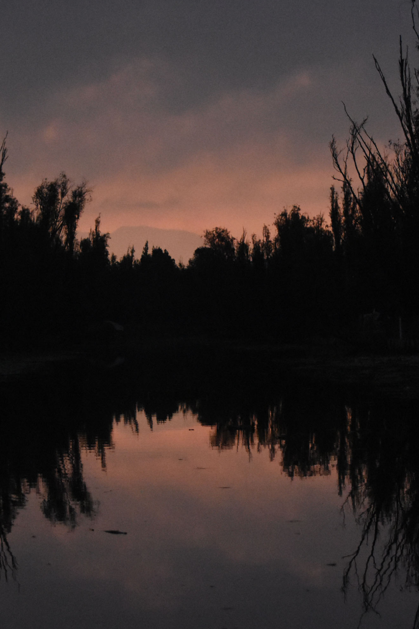 Xochimilco canals at dusk