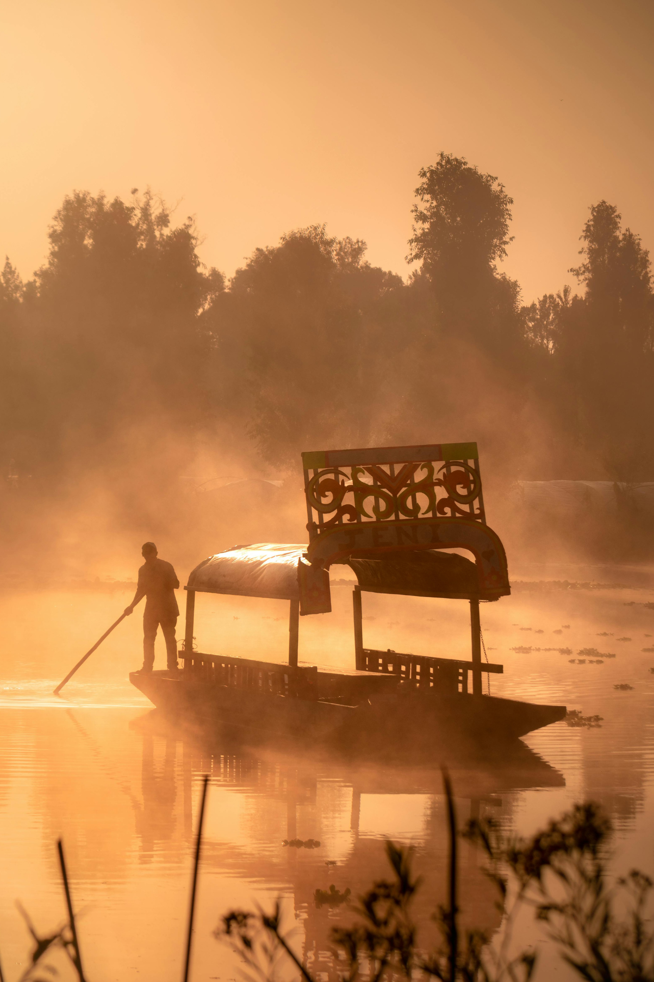 Trajinera at golden dawn, Xochimilco